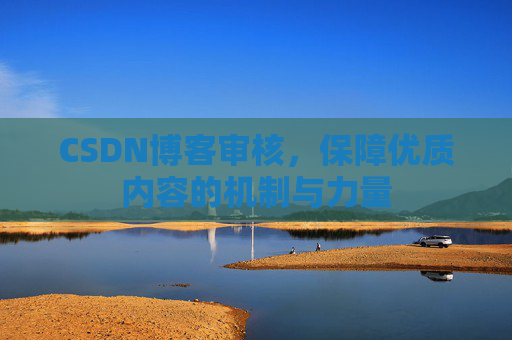 CSDN博客审核，保障优质内容的机制与力量